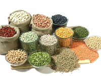Lo que tienes que saber sobre los Carbohidratos 