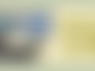 Simuladores de impresión Flexográfica.