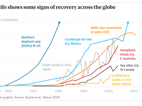 Sealife shows some signs of recovery across the globe