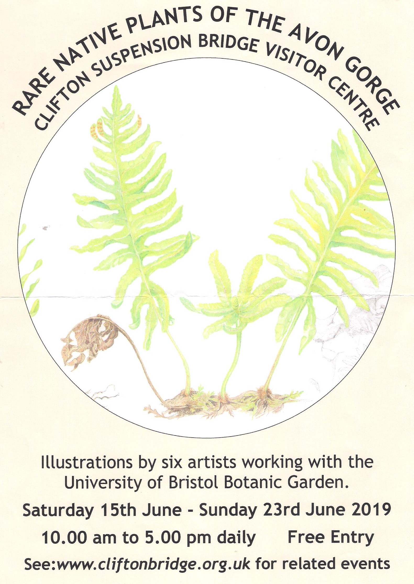 Exhibition of Paintings of Rare Native Plants from the Avon Gorge content media