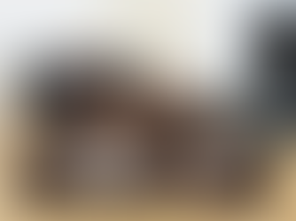 FurHaven Luxury Edition Sofa Pet Bed - Amazing High-Quality Orthopedic Bed for Dogs