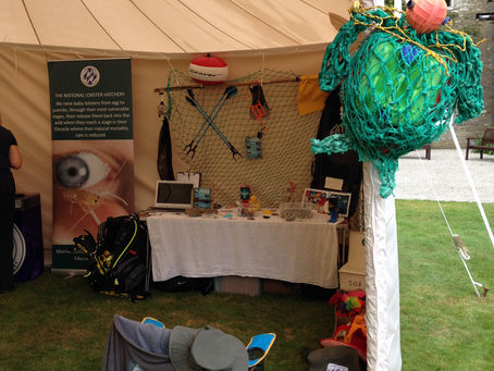 Padstow Seafood & Beer Festival