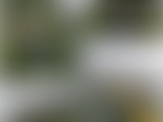 簡単には諦めません