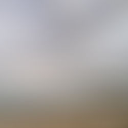 Mullaway Beach vol 38