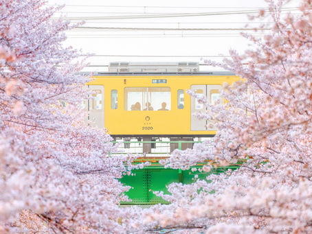 明けましておめでとうございます