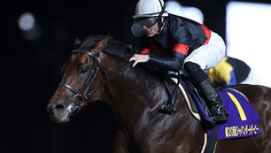 Breeders Cup Classic Rankings...Really?!
