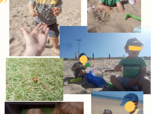 Les sorties de l'été