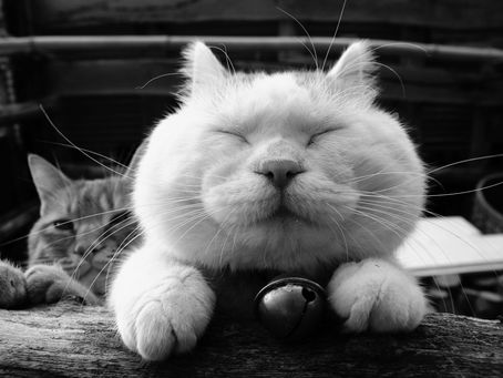 Use Your Body To Calm Catastrophic Thinking