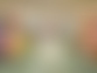 Procon alerta sobre aumento de itens da cesta básica em Rondônia