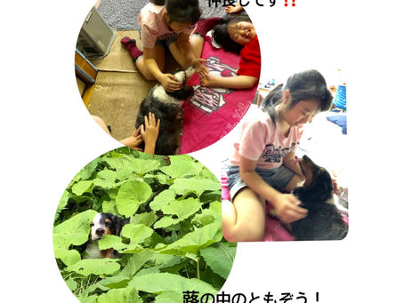 仲良し🐶