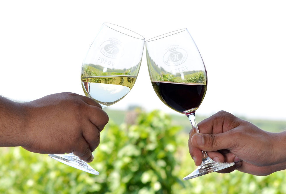 Винарија Попов: Црвено или бело вино? Кое е подобро?