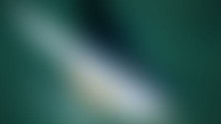 51º CIRCUITO RIO DE VELA OCEANICA TEM AVISO DE REGATA DIVULGADO.