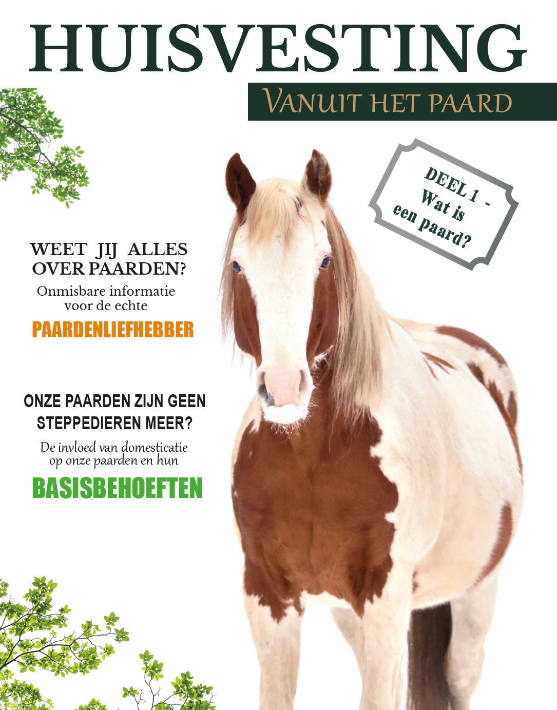 Magazine Vanuit het Paard; Heb jij hem al? content media