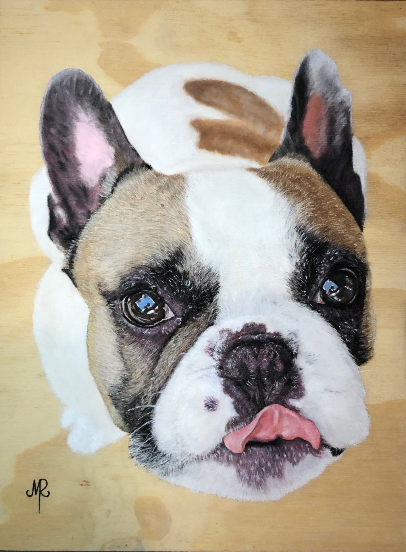 Pumba content media