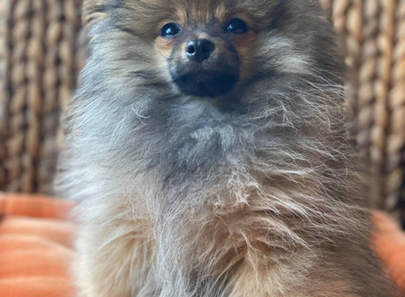 Lovely Bingo 🥰