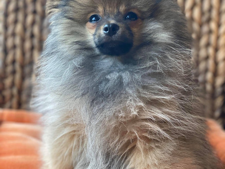 Lovely Bingo 🥰