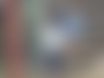 Curiosity never kills the cat