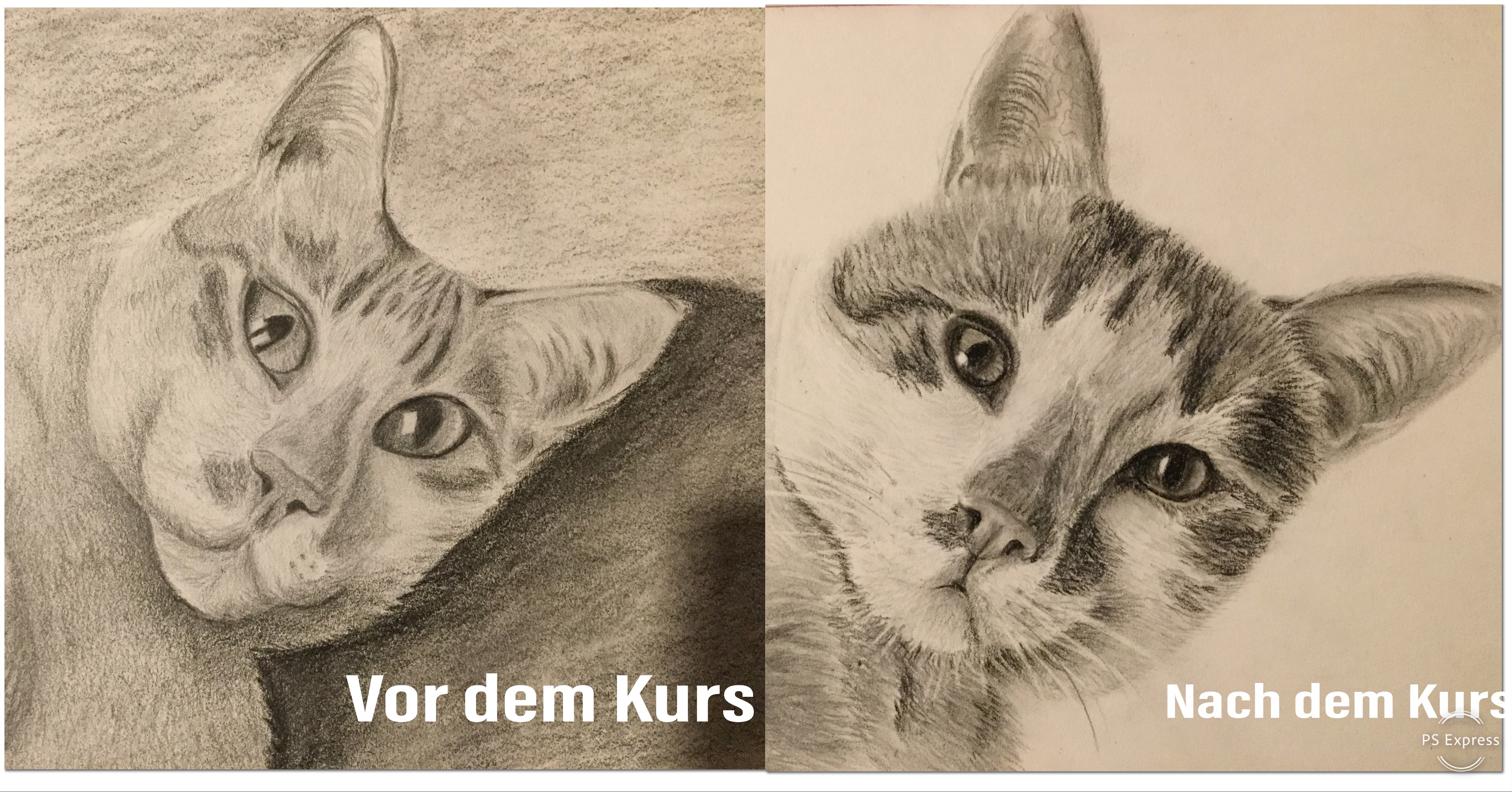 Spricht für sich... content media