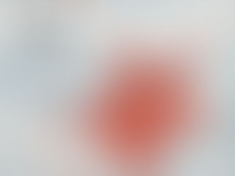 Turtle Island film review