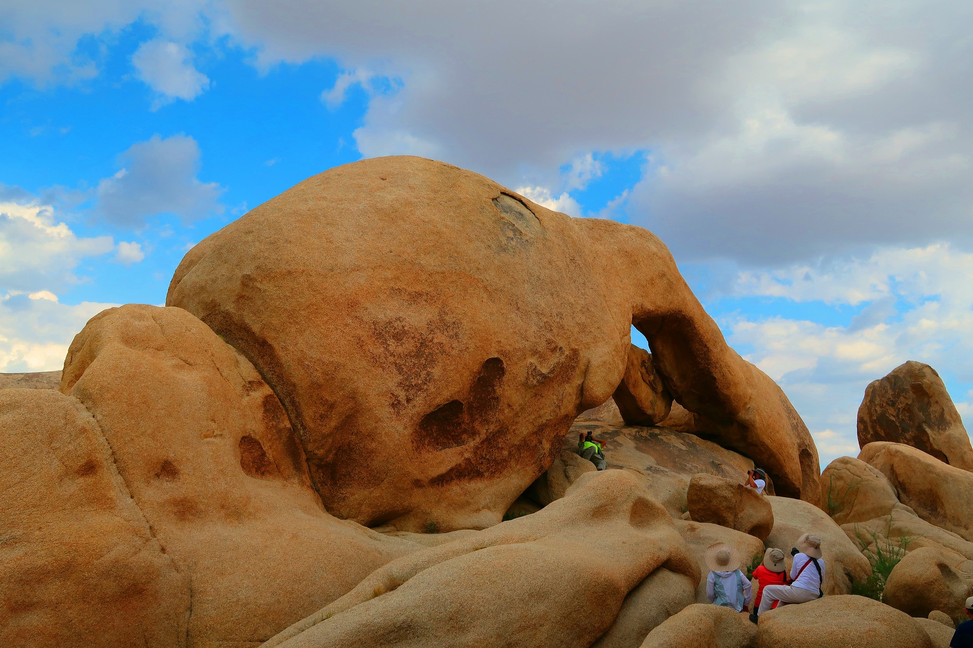 Joshua Tree National Park content media