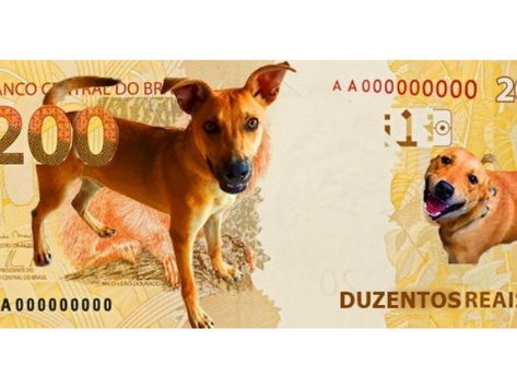 Nota de R$ 200: Por quê?