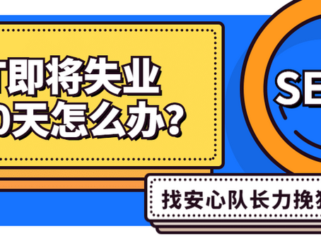 OPT即将失业满90天的同学怎么办?| 安心队长手把手教你力挽狂澜