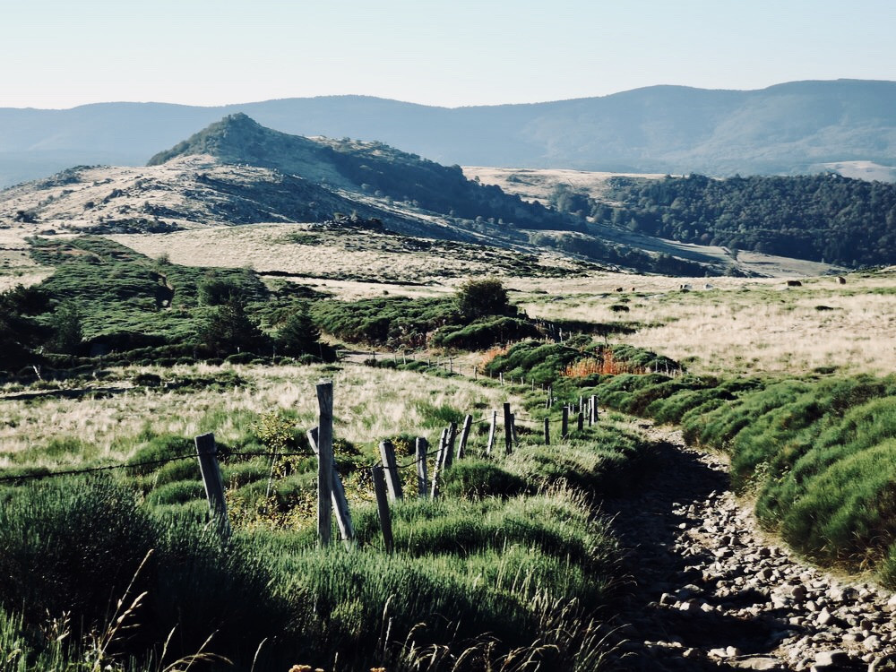 Stevenson way going down from Mount Lozère.