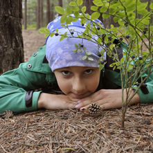 Myší rodinka v červnu