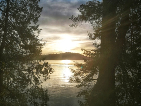 Serenity