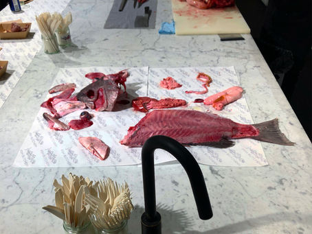 🐟 ! Fish Butchery ! 🐟
