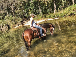 Training Racehorses on the Trails - Beyond The Rail  