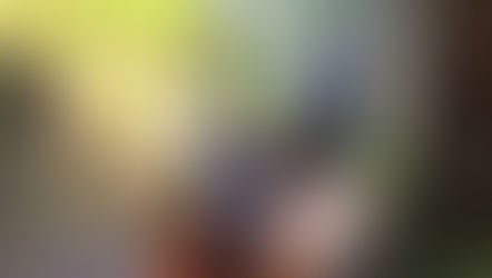 For the Pups Who Love Adventure