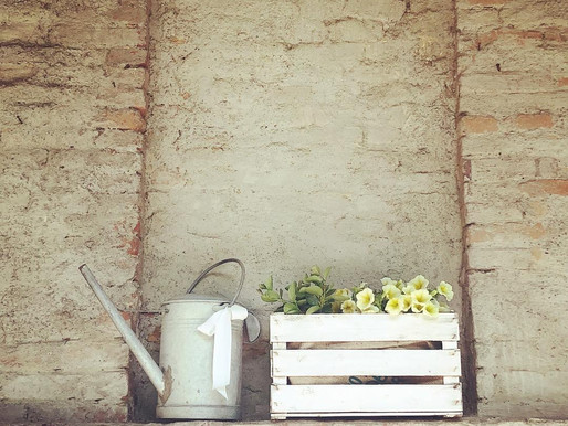 Home Decor: Riutilizzo Creativo, Junk And Shabby Style.