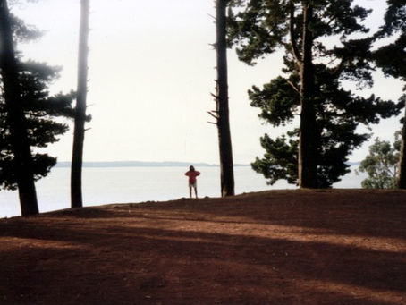 Weekly Words - a quote, a tool, and a tip for writers