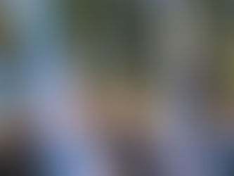 ¿Este año no habrá promesa a la bandera?