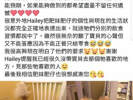 Hailey傳心個案分享 15 - 愛要及時, 我要零食同街街