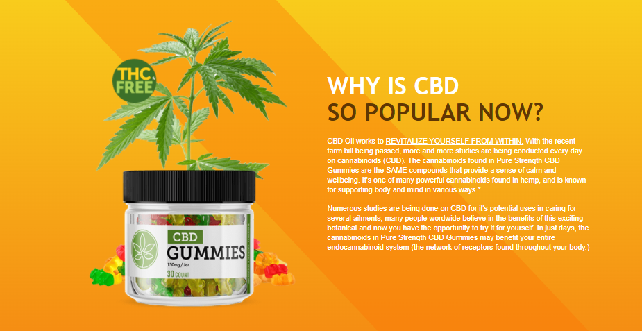 Skills That You Can Learn From Fun Drops CBD Gummies. content media