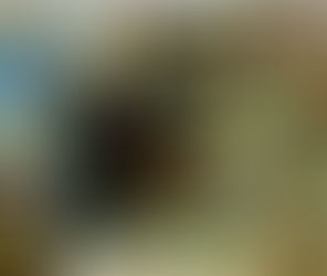 الشاي الأخضر .... أفضل مشروب بديل في العالم!