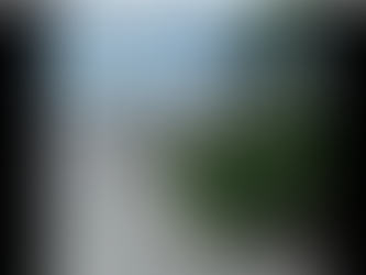 En video | Caimán aguja causa pánico en Parque Tayrona