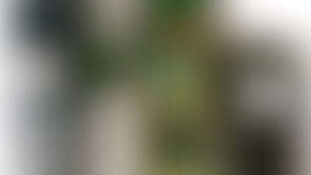 Cell phone & It’s Parts