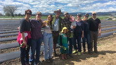 Food Systems #3: Your Role as a Shareholder