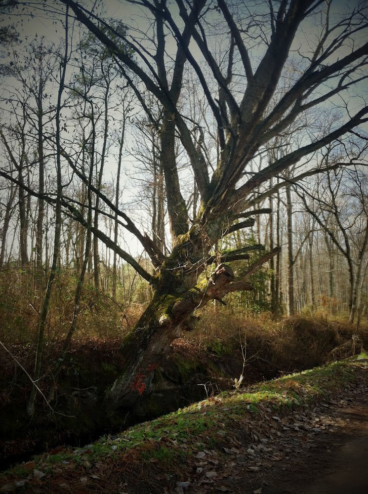 Top haunted attractions in Salisbury