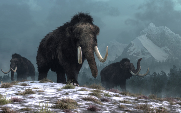 Passo a passo de como trazer espécies extintas de volta a vida. content media