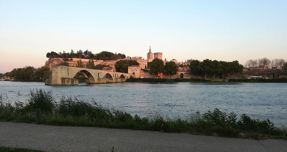 Palet des papes Rocher des doms Pont d'Avignon