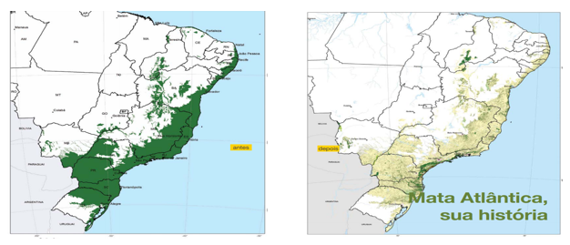 JOGOS NO ENSINO DE BIOLOGIA: UMA FORMA DINÂMICA PARA APRENDER ECOLOGIA content media