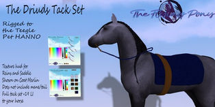 .:The Flying Pony:. Druid's Tack