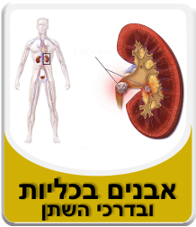 אבנים בדרכי השתן