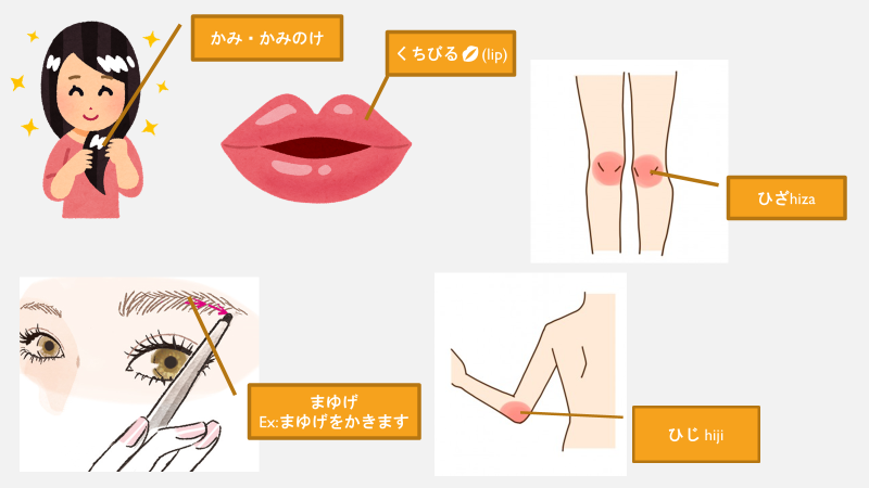 lecon22かつどう(2022/02/26) content media