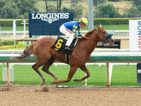 Charlatan Seeks Kentucky Derby Points in Arkansas Derby (G1)