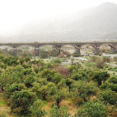 RIPRISTINO FERROVIE DISMESSE E FERROVIE TURISTICHE: L’EQUIVOCO CHE PARALIZZA